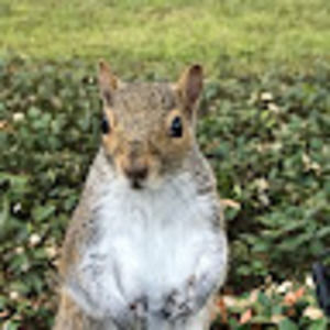 Meet your Posher, Loraine